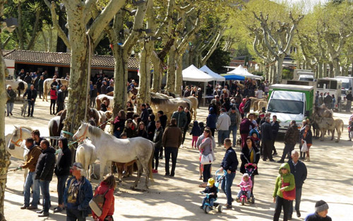 Foire aux chevaux Foire aux chevaux